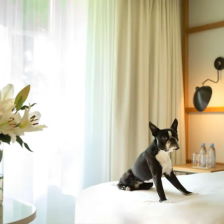Hyatt Regency Chantilly 4* Vineuil-Saint-Firmin