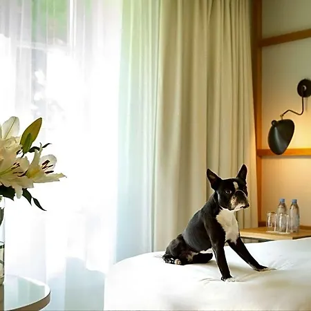Hyatt Regency Chantilly Hotel