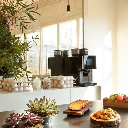 Hotel Hyatt Regency Chantilly 4*