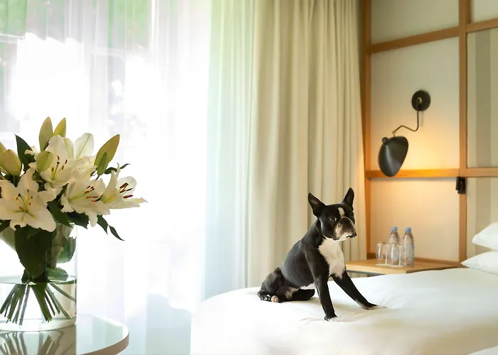 Hyatt Regency Chantilly 4* Vineuil-Saint-Firmin